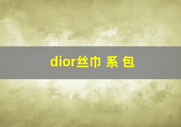 dior丝巾 系 包